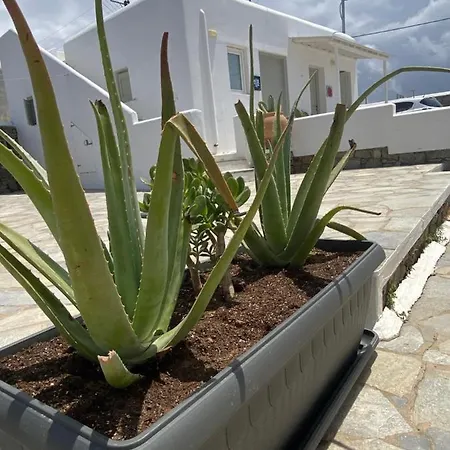 Sing And Blossom 度假居 Mykonos Town