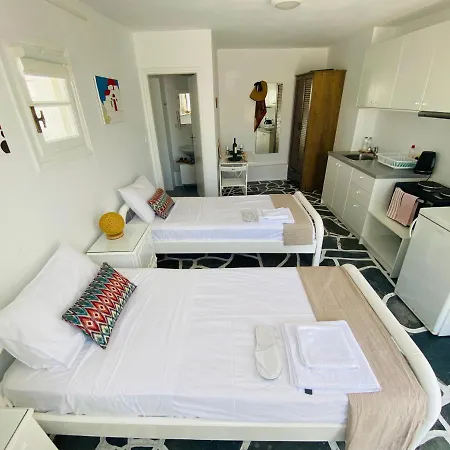 Sing And Blossom Mykonos Town