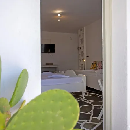 Sing And Blossom Mykonos Town