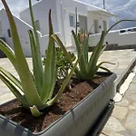 Sing And Blossom Ferienhaus Mykonos Town