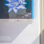 Ferienhaus Sing And Blossom *