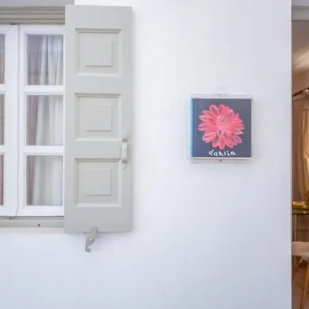 Sing And Blossom Holiday home Mykonos Town