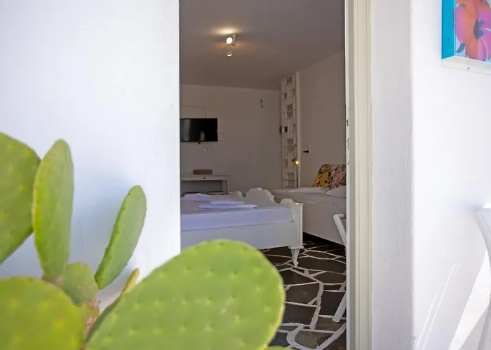 Sing And Blossom Mykonos Town